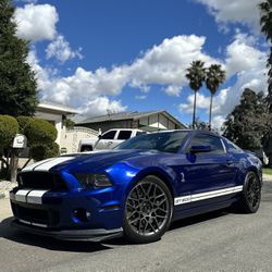 2013 Ford Shelby Gt500