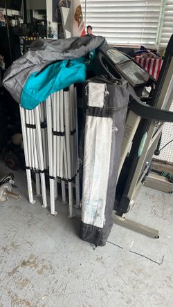 Canopy with bag