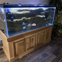 220 Gallon Glass Aquarium & Stand