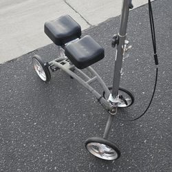  Walker Scooter