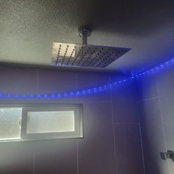 12" Rain Shower-Absolutely Heaavenly