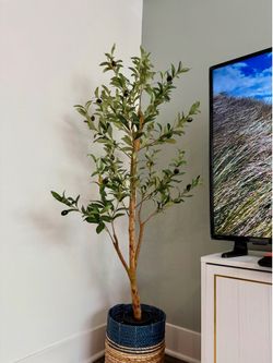 Faux Olive Tree + Bonus Christmas Tree.
