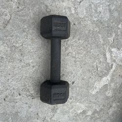 10lb Dumbbell 