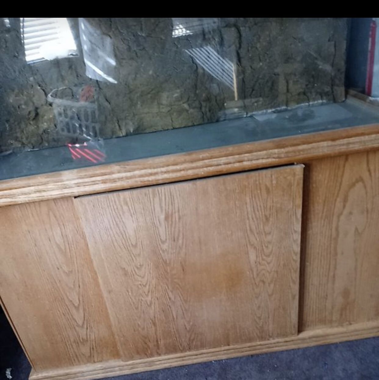 80 gallon fish tank