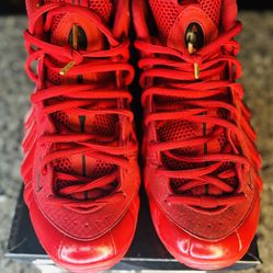 Air Foamposite One (Size 13)