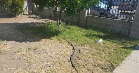 Limpieza clean up