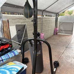 Freestanding Heavy Bag With Speed Bag