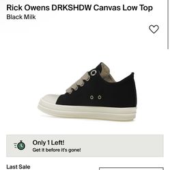 Low Top Rick Owens 