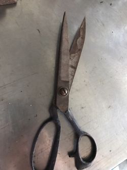 Old scissors