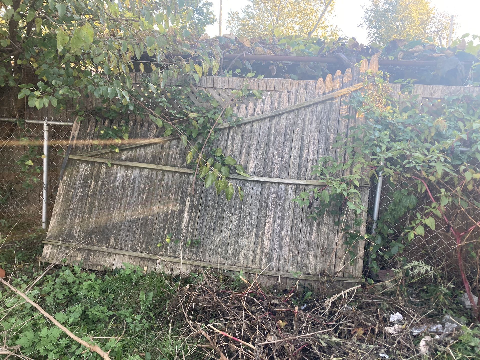 Fence For Sale
