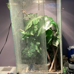 Rainforest enclosure