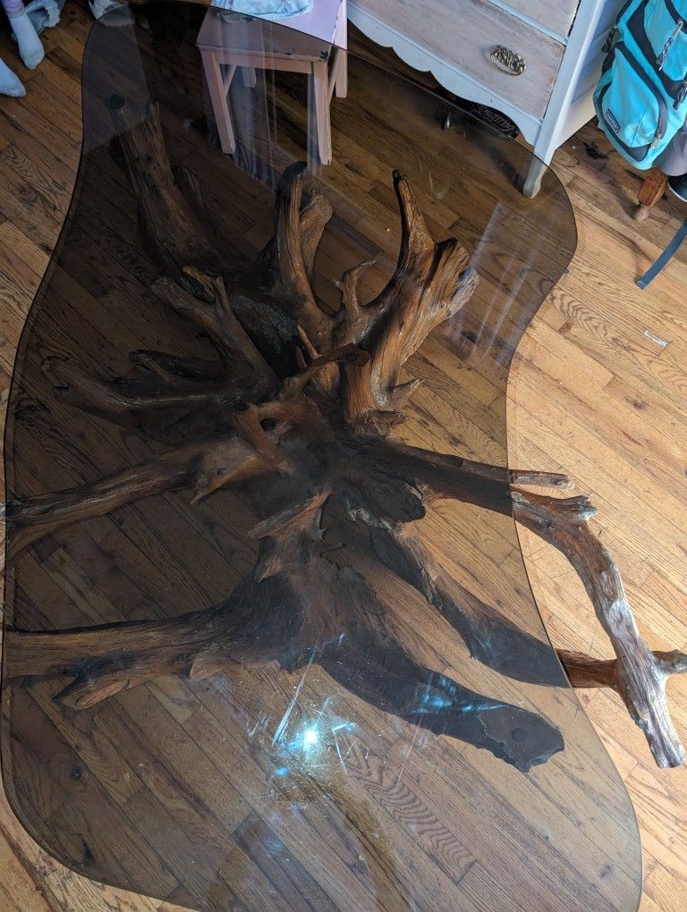 Mid Century Tree Root Coffee Table