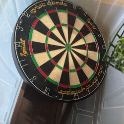 Official Dart Board With Everything Ready To Hang