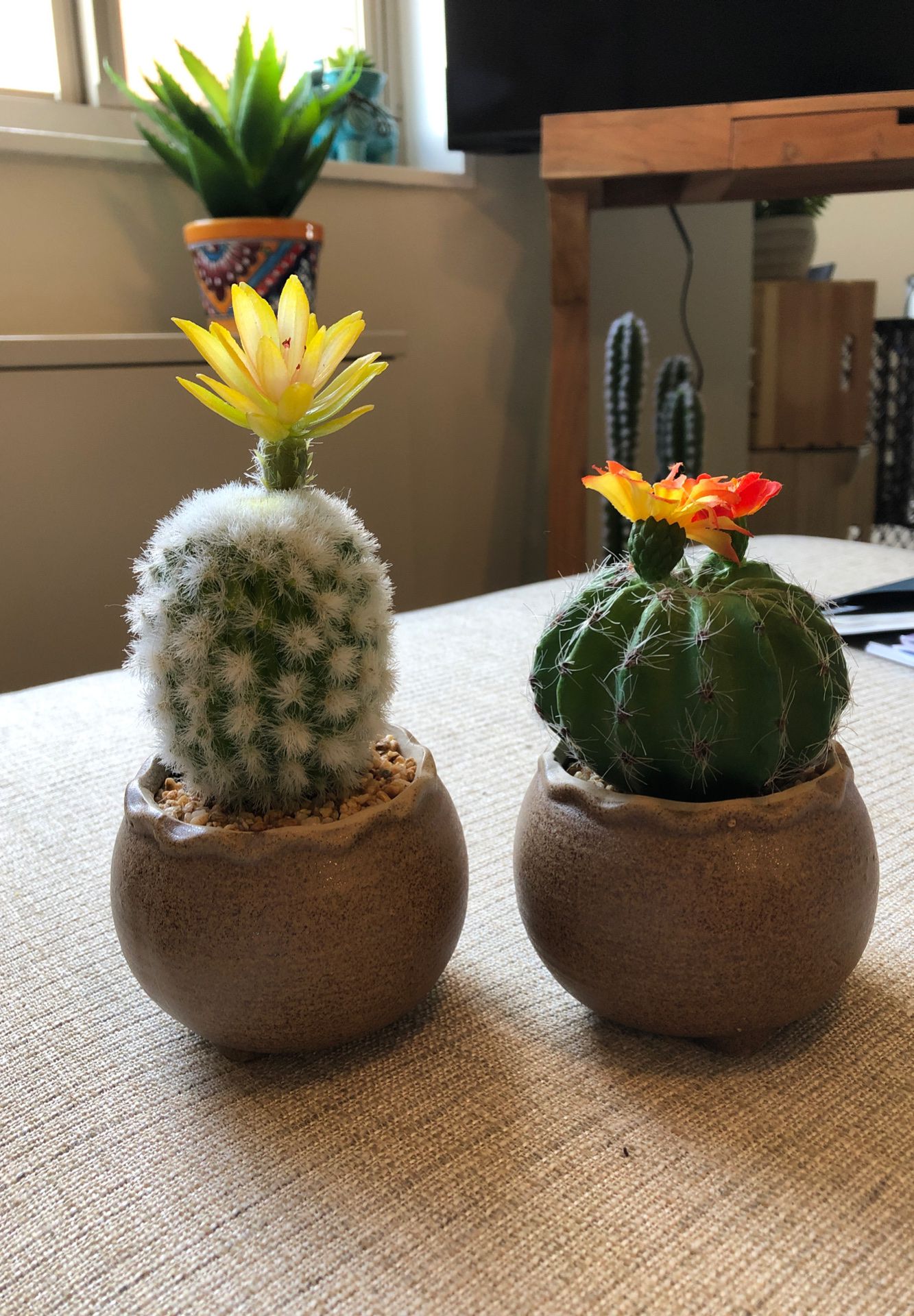 Pair of fake succulents/cacti very cute for home decorating
