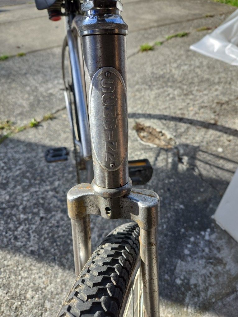 Old Schwinn Beach Cruiser