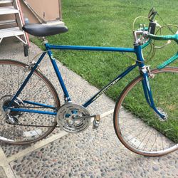 1980’s Schwinn Bike