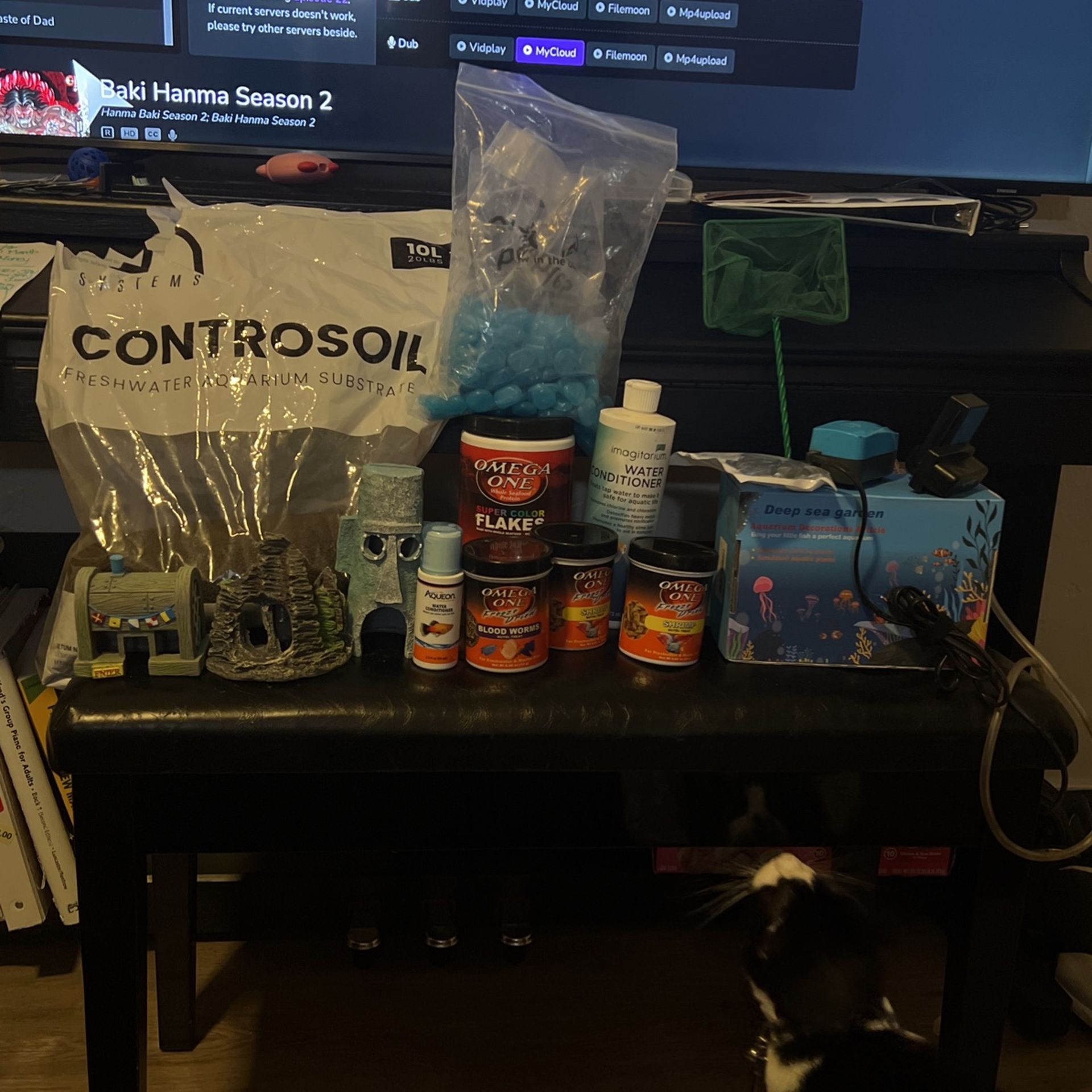 Fish Supplies (Starter Supplies)