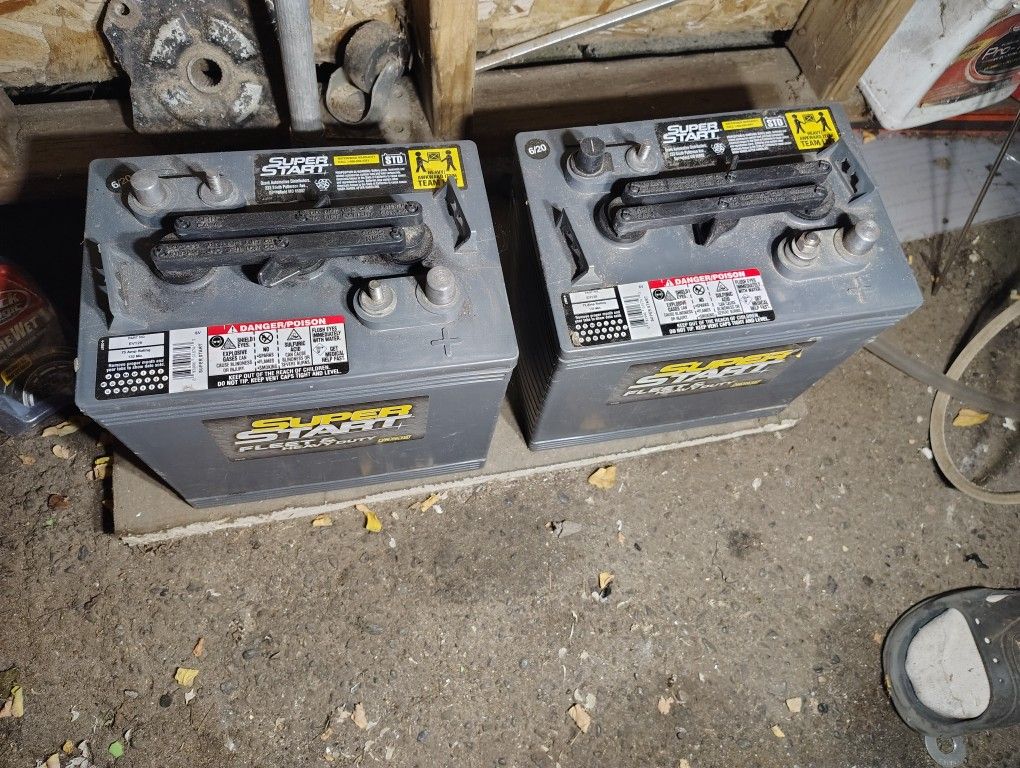 2 6v Deepcell Rc Batteries