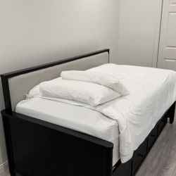 Living Spaces Austen Twin Daybed with Trundle & Storage