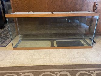 NICE Custom 55 Gallon Glass Reptile Terrarium