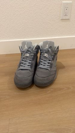 Wolf Grey Jordan 10 9.5