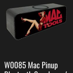 Mac Tools Bluetooth Speaker 