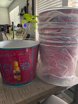Beer Buckets