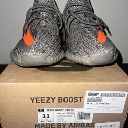 Yeezy Boost 350 V2 Belgua 