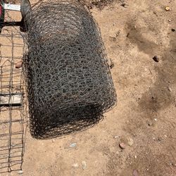 Chicken Wire 