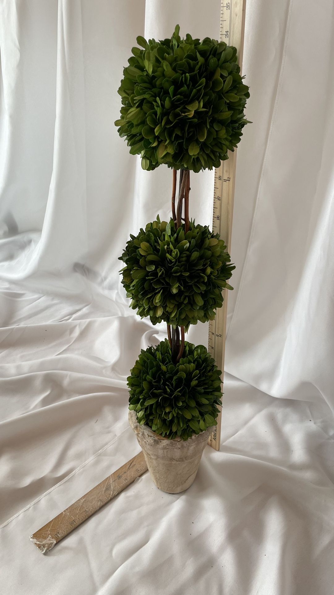 Topiary Decor