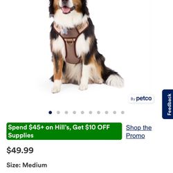 Dog Harness