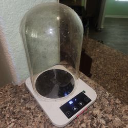 Sourdough Starter Warmer With Glass