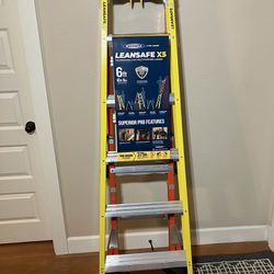 Werner X5 Ladder (NEW)