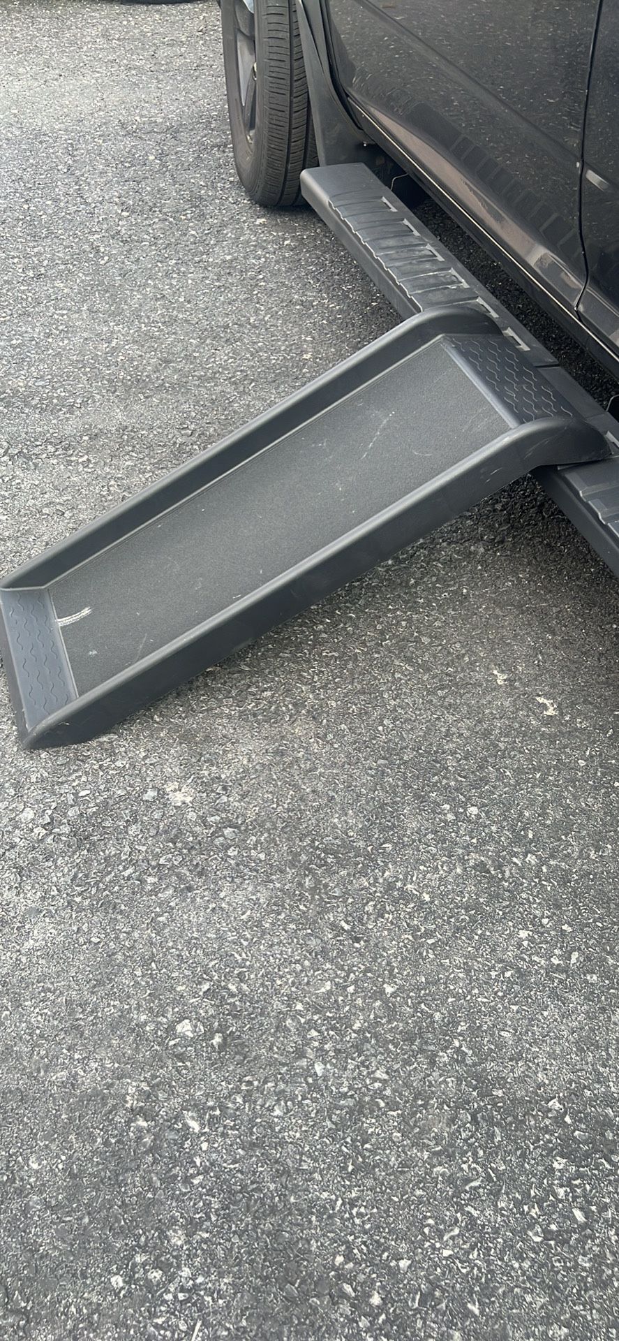 Plastic Strong Dog π Ramp