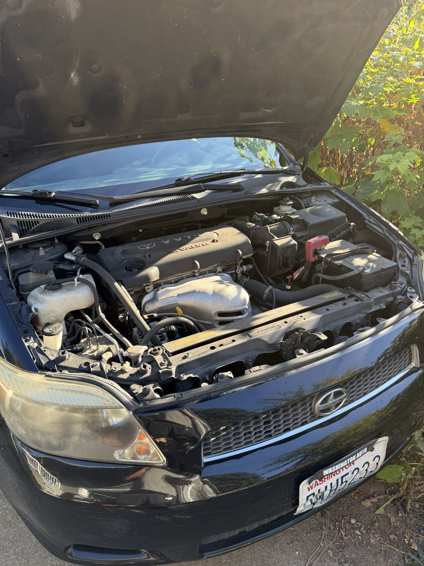 2006 Toyota Scion tC