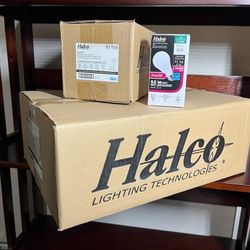 Set of 24. Halco ProLED A19 LED light bulb. 9.5W. 800 lumens. Warm white light (2700K). Dimmable.