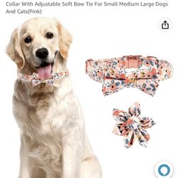3 Piece Collar For Dogs