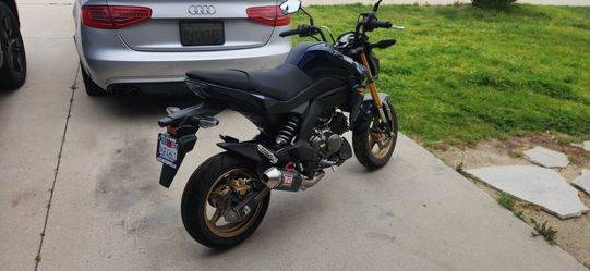 Kawasaki Z-125 Pro
