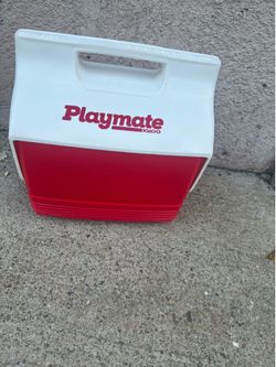 Cooler small