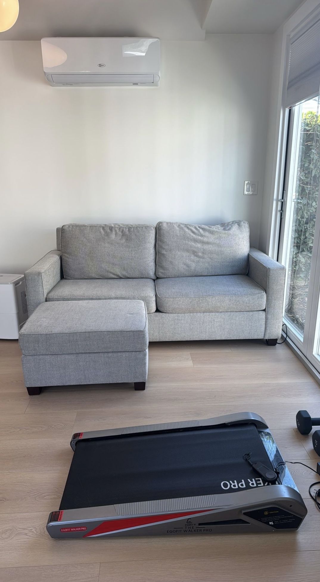 West Elm Sofa with Ottoman