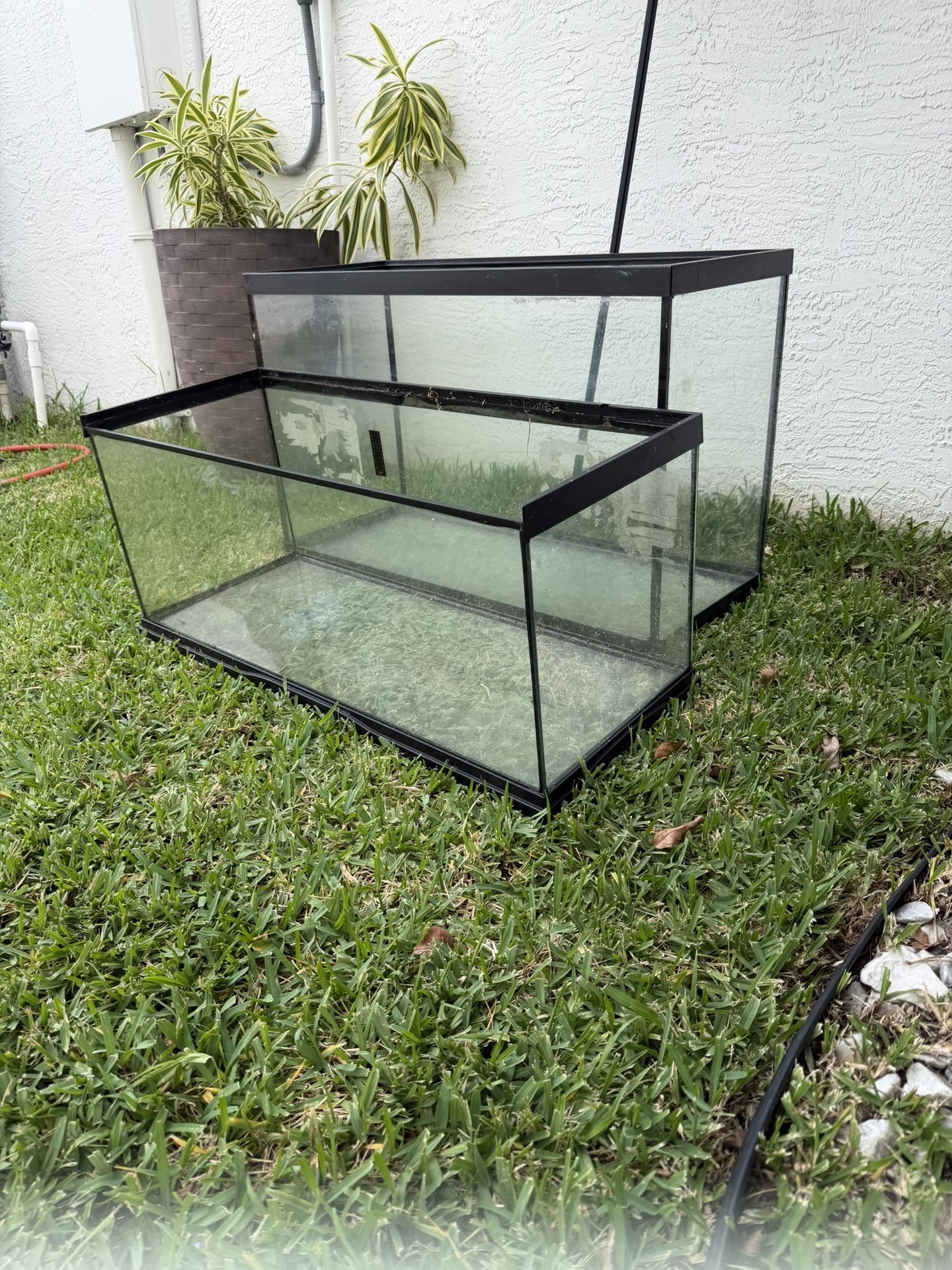 2 Fish Tanks 50-60 gallon