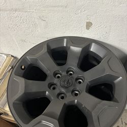 Ram 1(contact info removed), Rines 20"