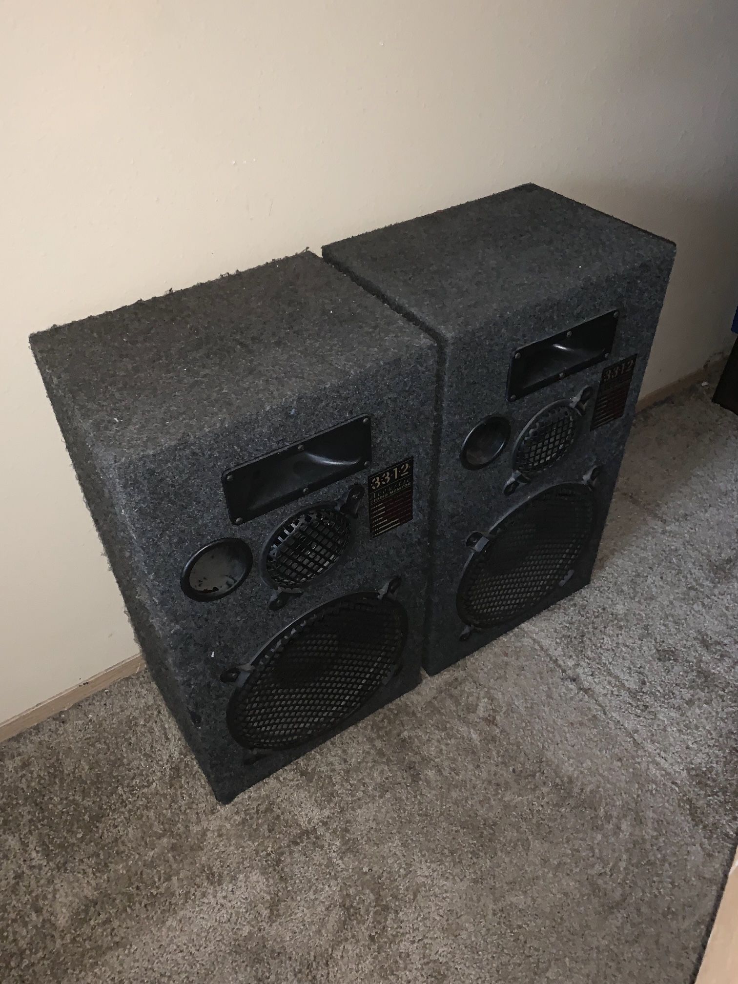 DJ Monitor Speaker Sub