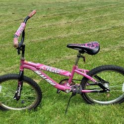 20" Malibu Paradise Bike 