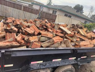 Eucalyptus 300a Cord 2 Years Season