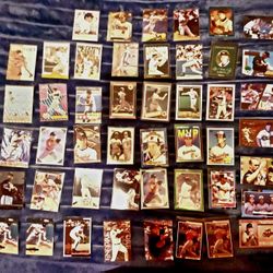 Cal Ripken Jr Lot
