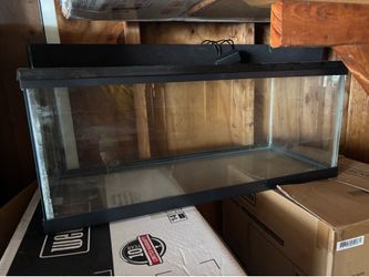 Fish Tank