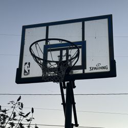Basketball Hoop
