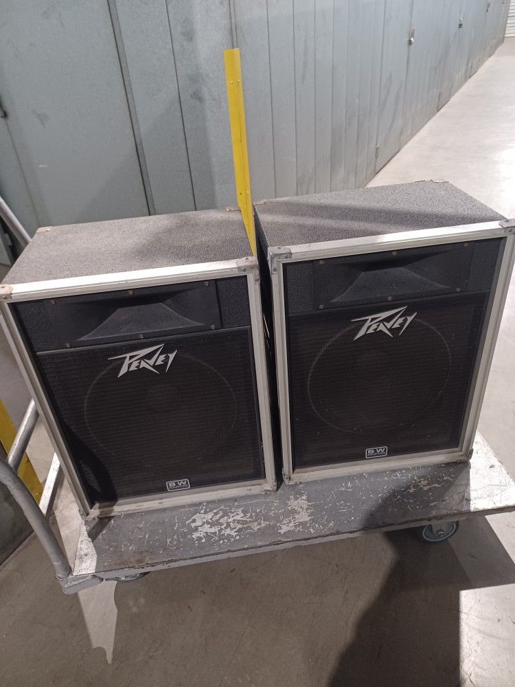 Two Speaker Cabinets For Microphones
