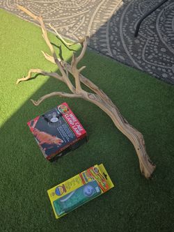 Large 40 inch Reptile Ghost Wood